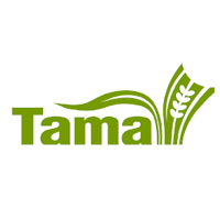 TAMA